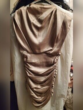 Babaton Aritzia Satin Ruched Mini Dress in Taupe/Champagne